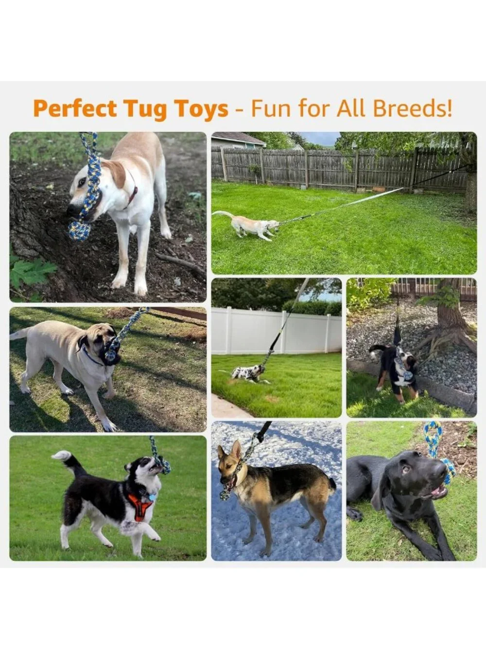 Durable Outdoor Bungee Tug Toy for Dogs | Interactive Chew Rope & Tether